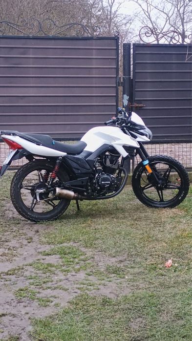 продам мустанг фортуна 200