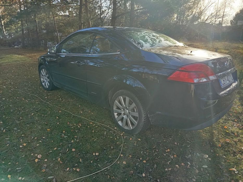 Ford Focus Focus wymagający zaopiekowania