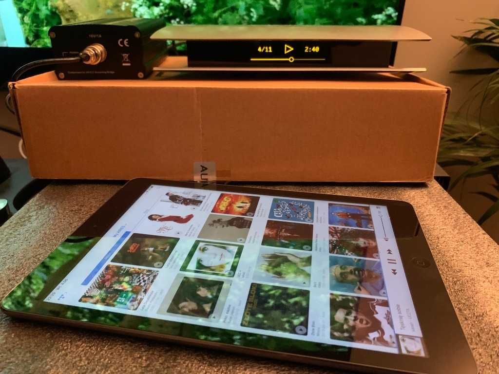 Auralic Aries Femto + APPLE IPAD AIR + org zasilacz