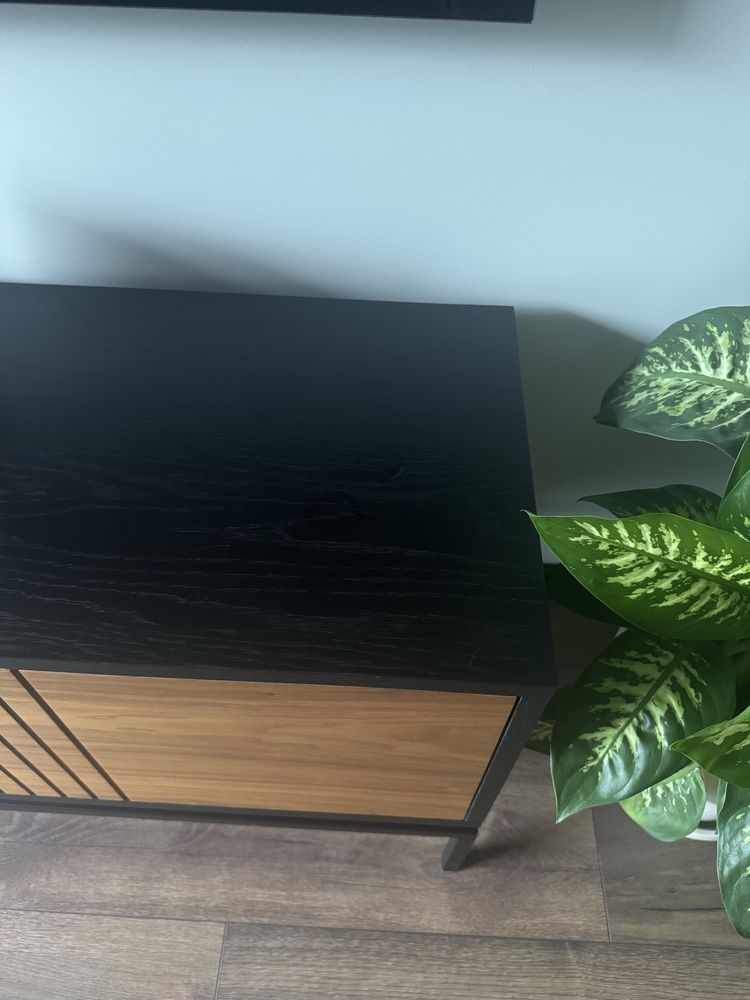 Szafka RTV z forniru – elegancka, nowoczesna, 150 cm