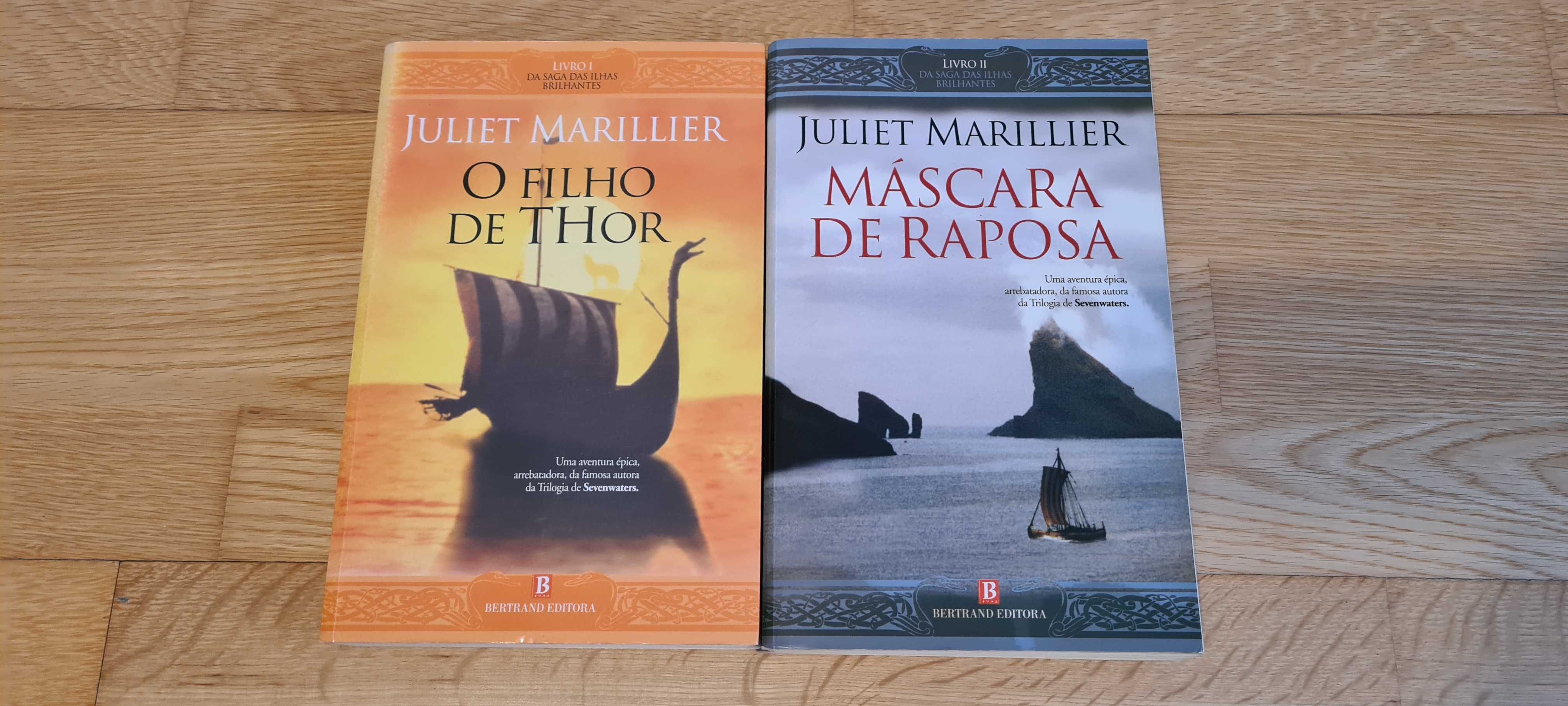 Lote de livros variados