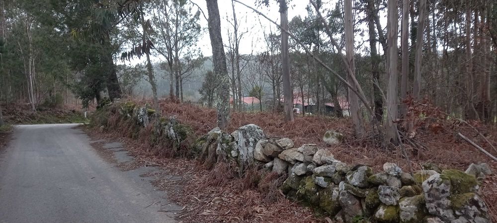 Terreno Urbano Serra Caramulo