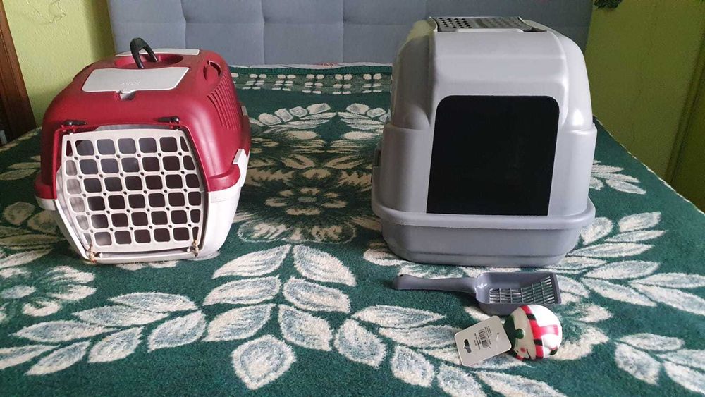 Kuweta i transporter dla kota w zestawie