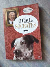 O Cão do Sócrates de António Ribeiro 


O Cão de Sócrates
j

O Cão de