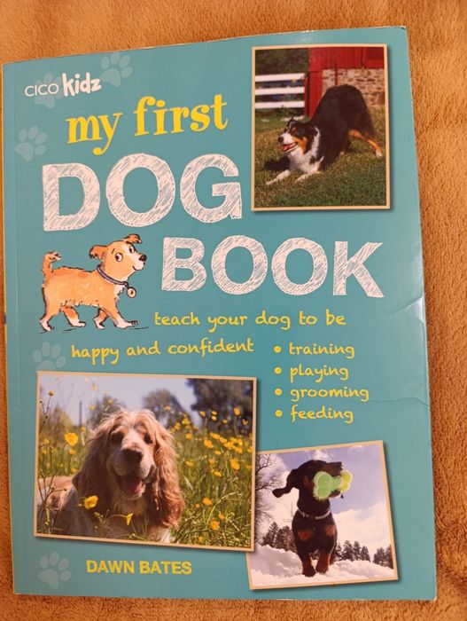 Книжка англійською мовою 7+