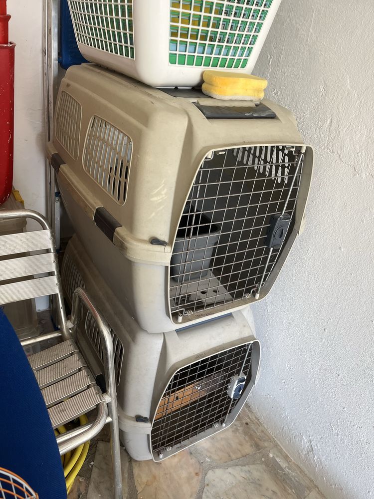 Casotas para caes medio porte