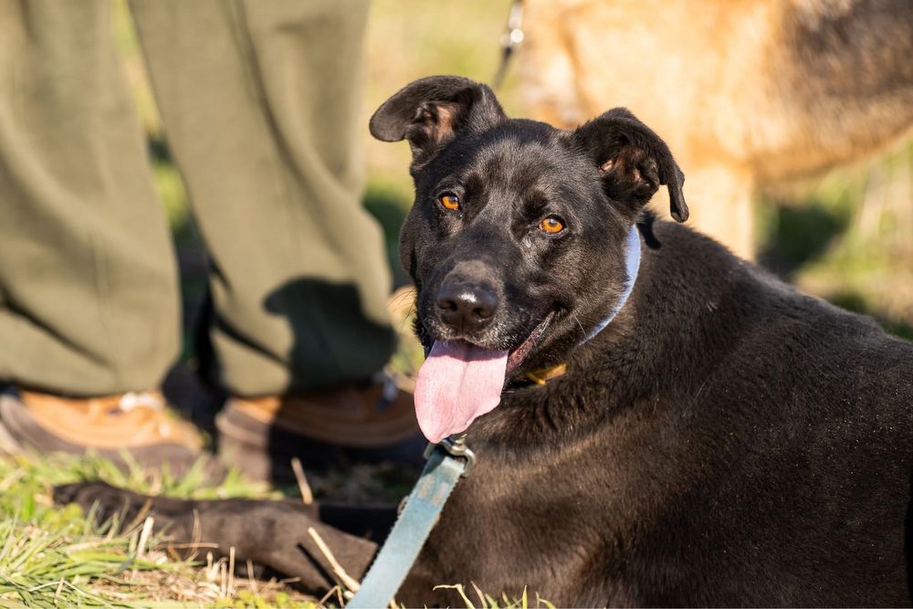 Frugo, zabawowy mlodzieniec o wspaniałej urodzie!