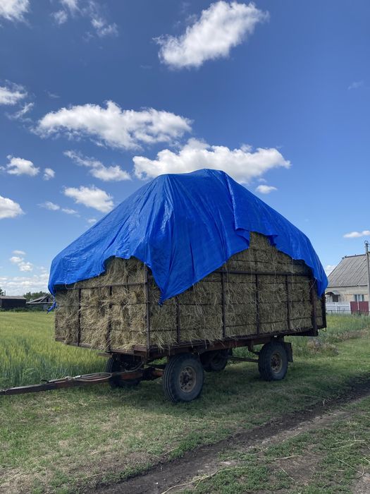 Продам СІНО В ТЮКАХ лугове