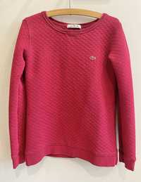 Bluza Lacoste xs