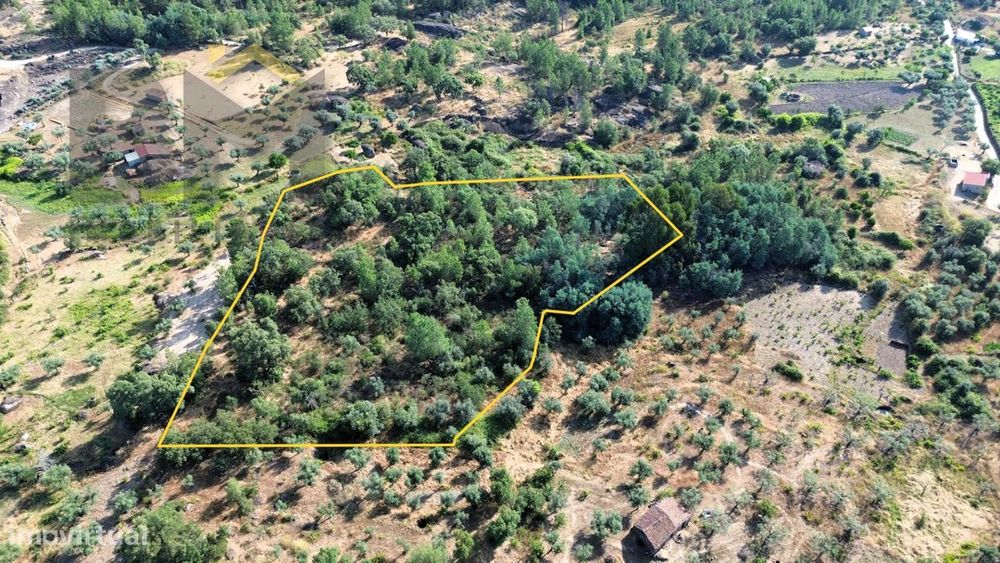 Terreno Rústico  Venda em Salgueiro do Campo,Castelo Branco