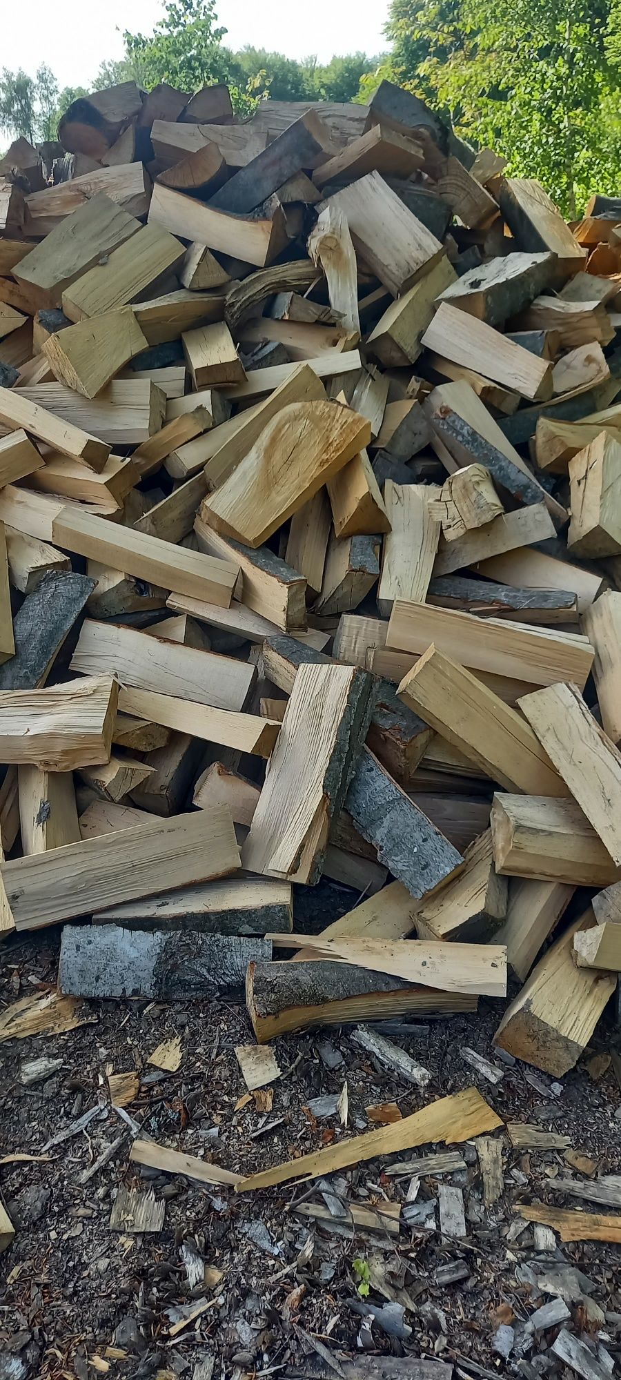 Продам дрова 5500