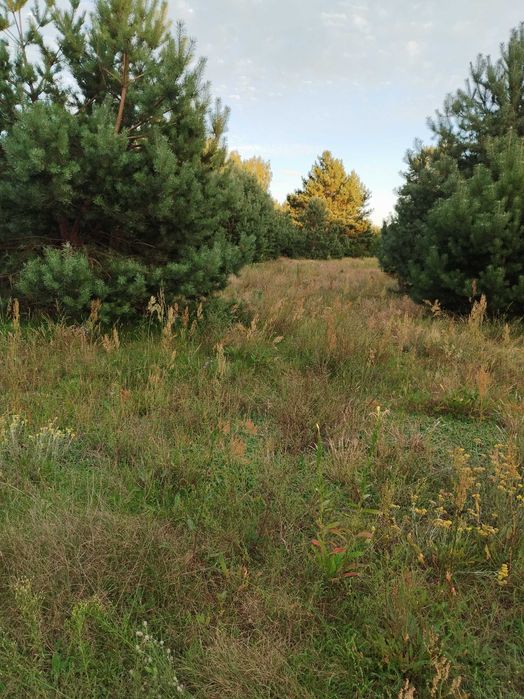 Działka rolno-inwestycyjna na sprzedaż