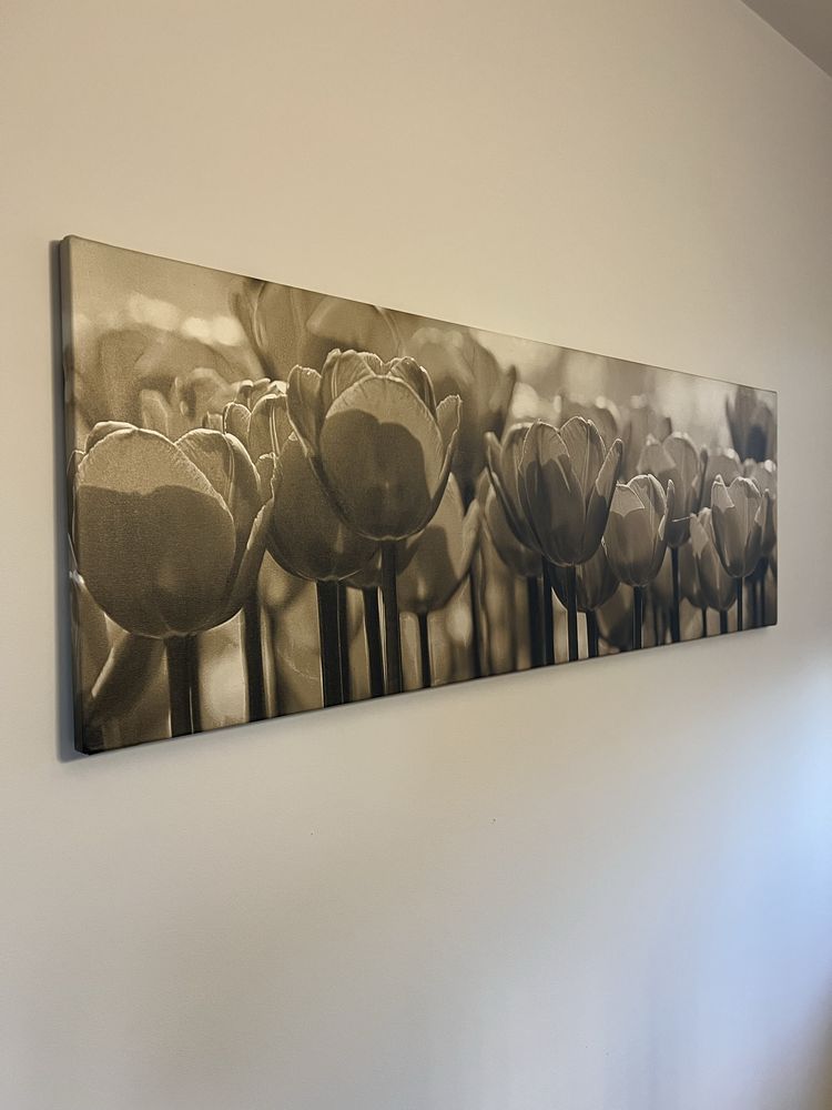 Obraz tulipany 120x40 cm