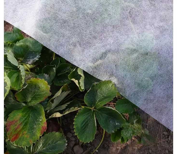 Agrowłóknina POLSKA Włóknina okryciowa 4,25m LENKO 23g na truskawki