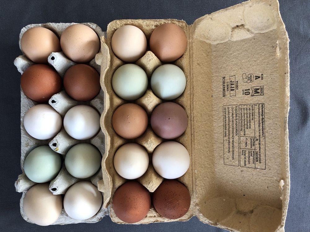 Wiejskie jajka od szczęśliwych kur