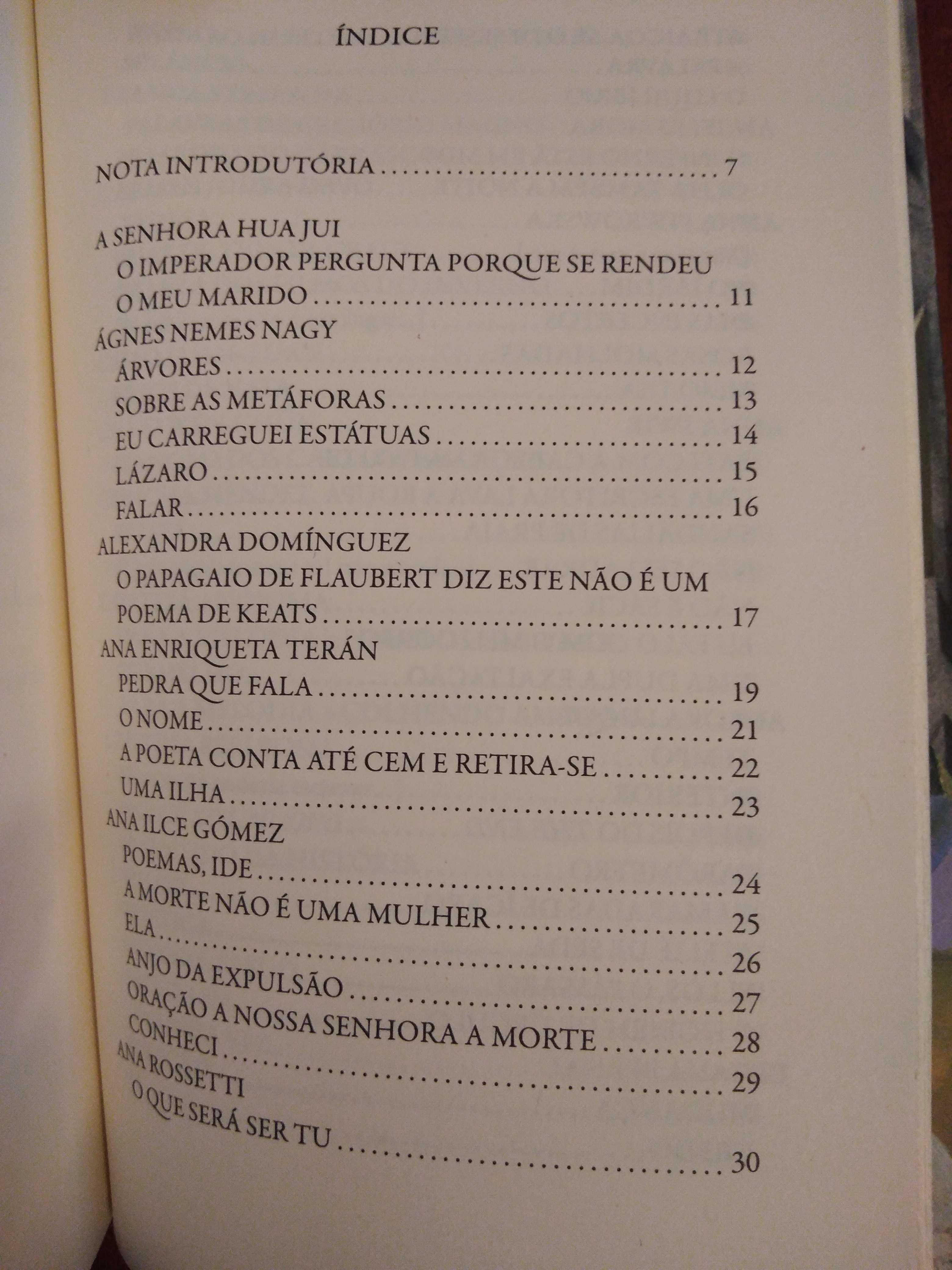 A única maneira de esquecer a beleza, poesia traduzida
