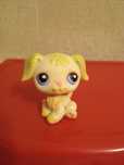 Littlest pet shop pies labrador dog LPS słodki piesek tanio
