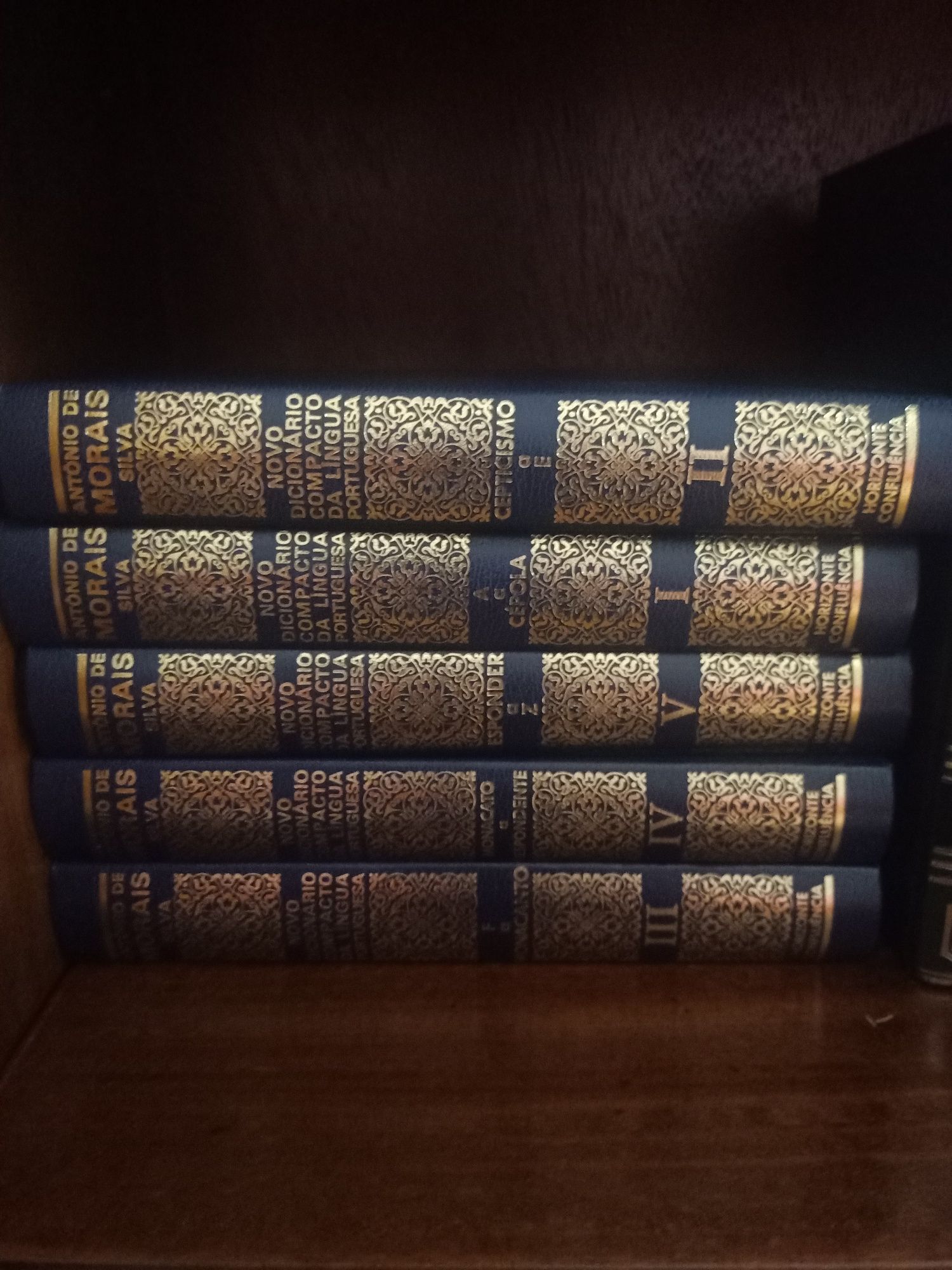 Dicionário língua portuguesa