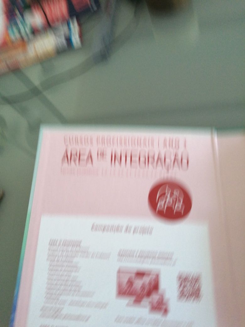 ÁREA DE INTEGRAÇÃO Cursos Profissionais Ano 1 Plátano Dossier do prof.