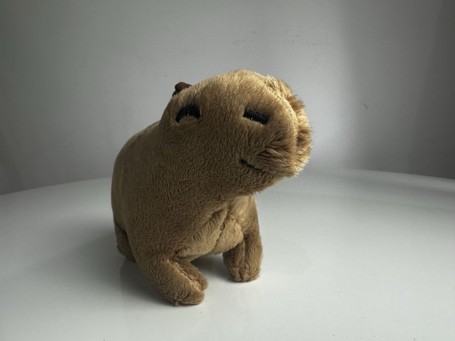 Nowa uśmiechnieta kapibara