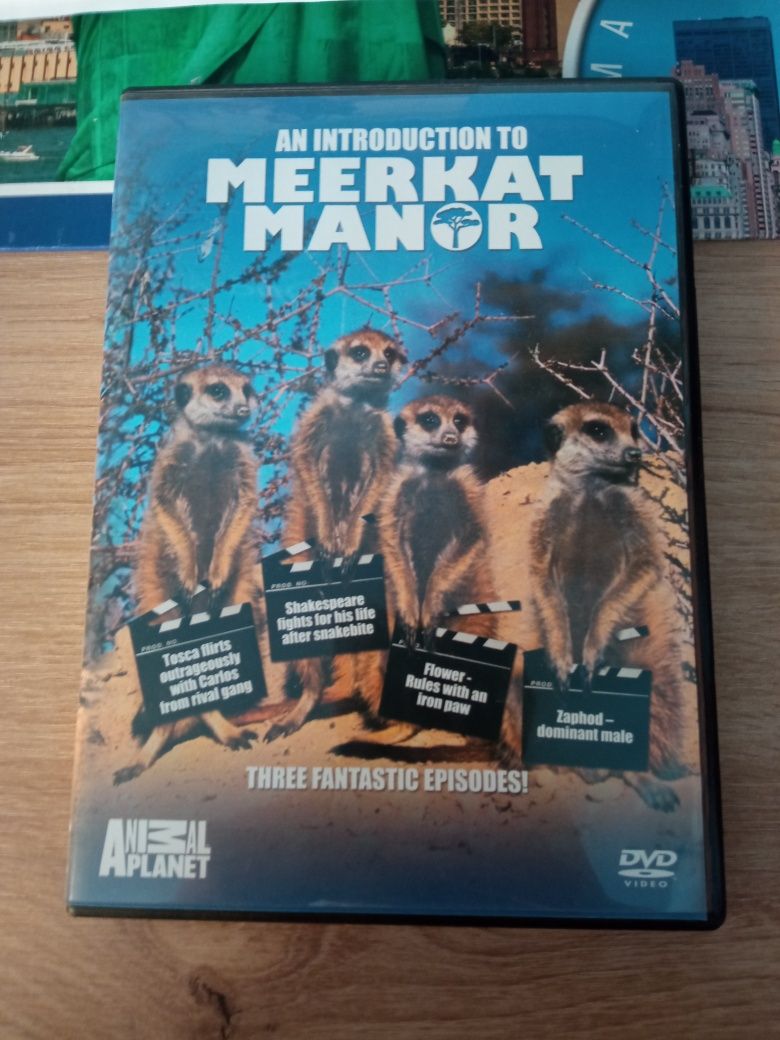 Film Animal Planet o surykatkach