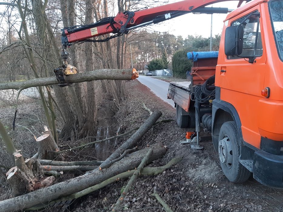 Wycinka drzew i krzewów . Prace ogrodnicze .glebogryzarki rębak