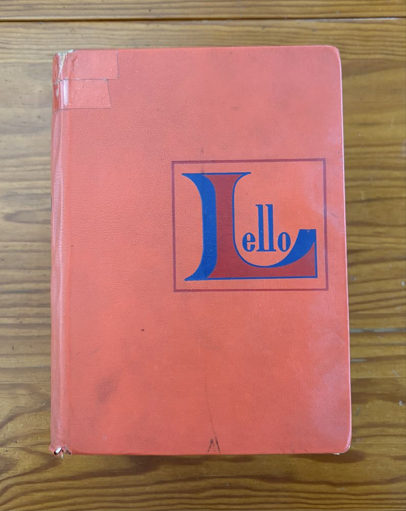 Dicionário Prático Ilustrado Lello