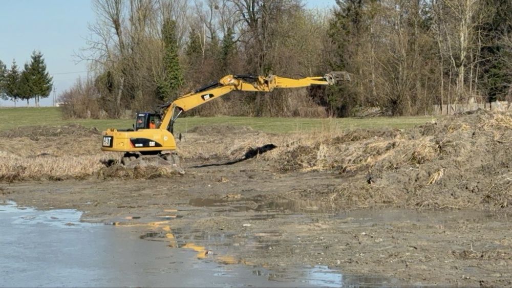 Faszynowanie zabespiecznie brzegów kopanie stawów umocnienia brzegów