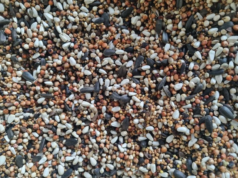 MARGRANO DN - Drobne Nasiona / pokarm dla drobiu i gołębi 25 kg