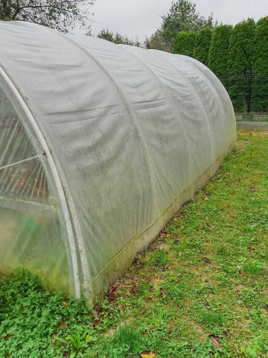 Tunel foliowy,szklarnia 6x3 folia.