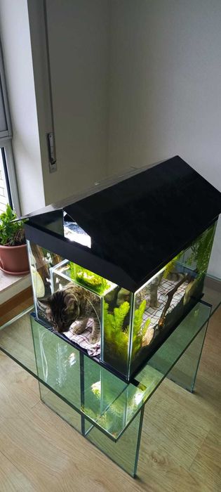Vendemos aquário - gatário! Uma nova opção interessante!