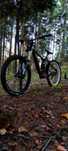 Giant Glory 2013 DH (Fr,enduro,specalized, rock shox)