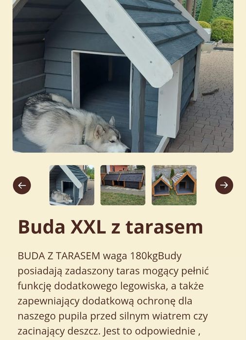 Buda dla dużego psa z tarasem XXL