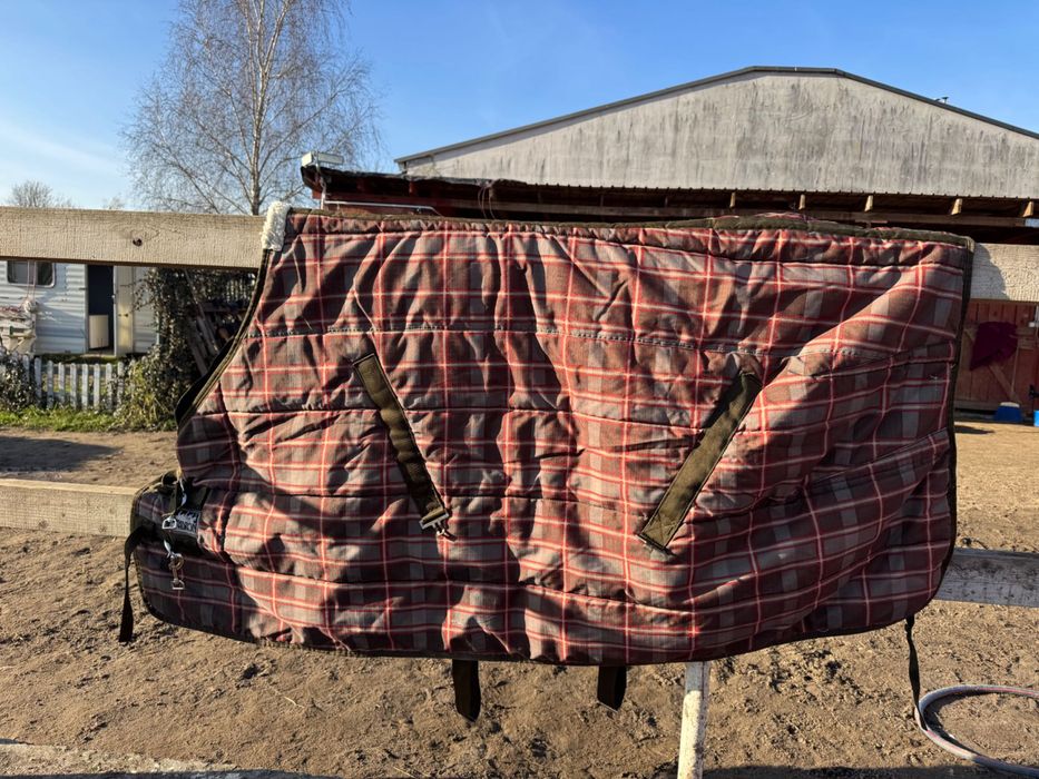 Derka Eskadron w kratę – rozmiar M (135 cm)