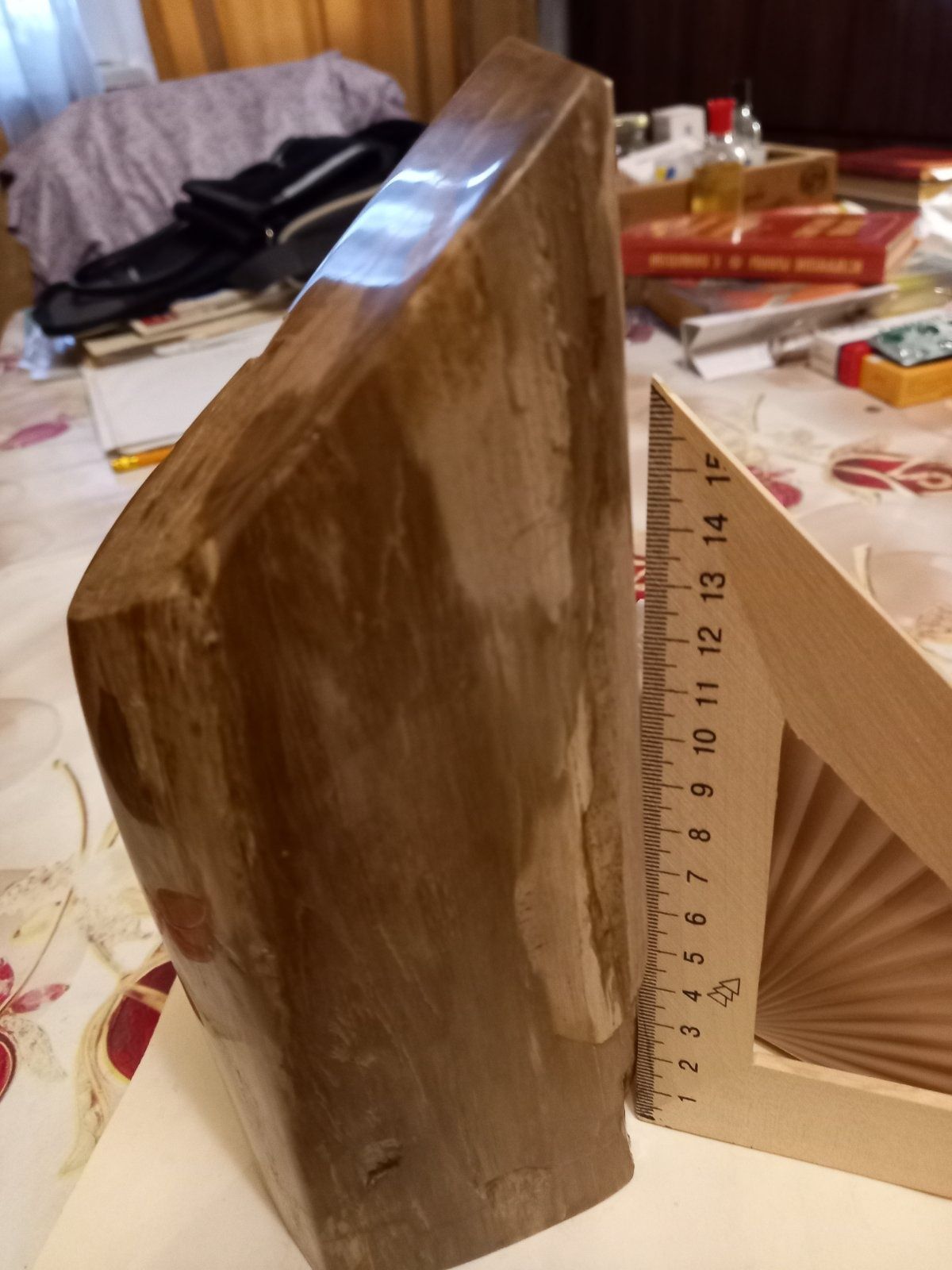 Продам окаменелое дерево из коллекции