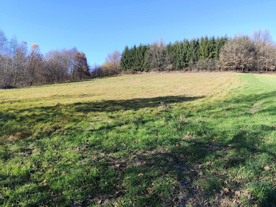 Działka pod budowę Gwoźnica Dolna