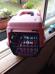 Transportadora para cão  ou gato