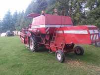 Massey ferguson 186