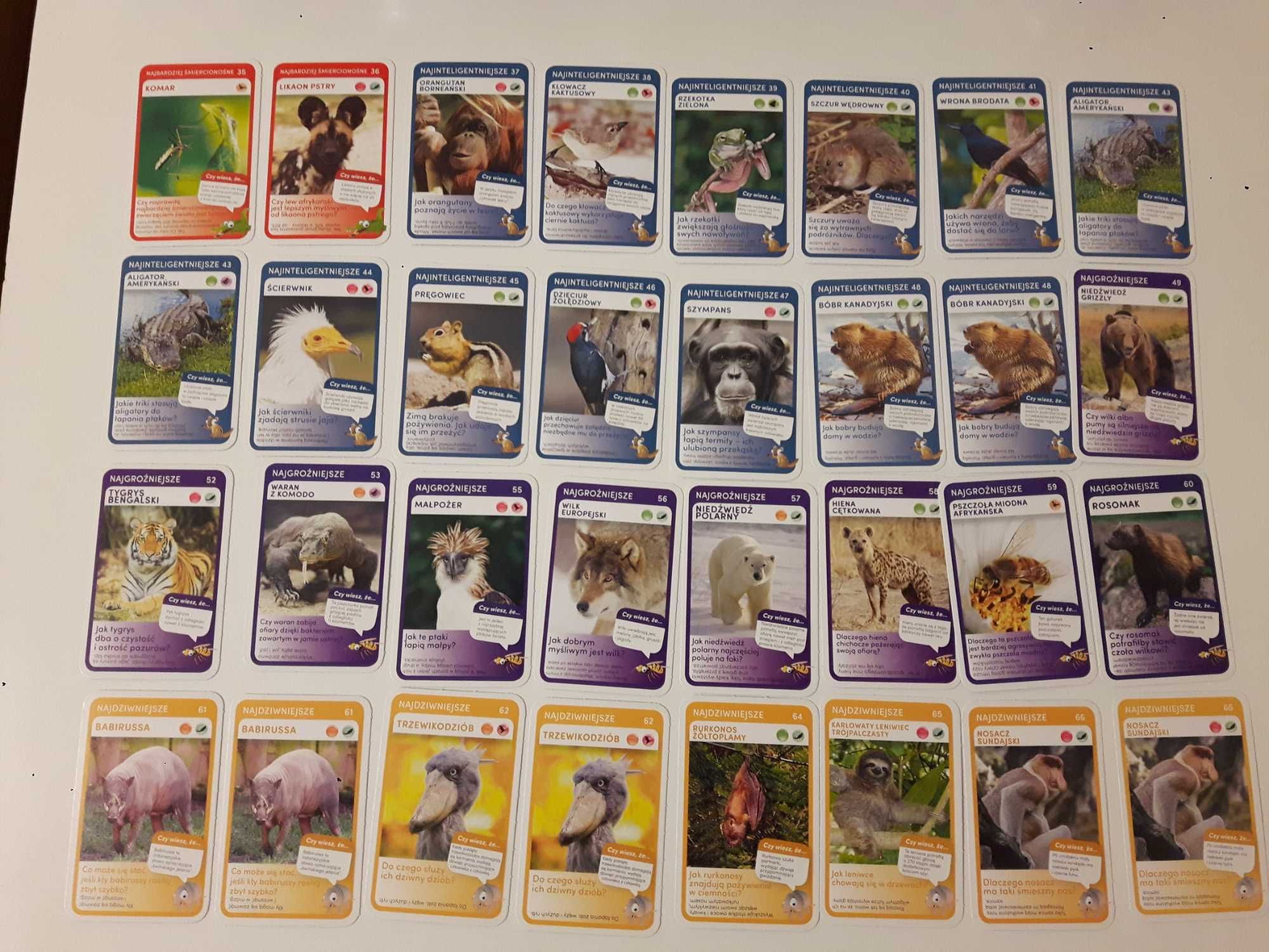 Nowe karty Super Zwierzaki karty Gang Świeżaków