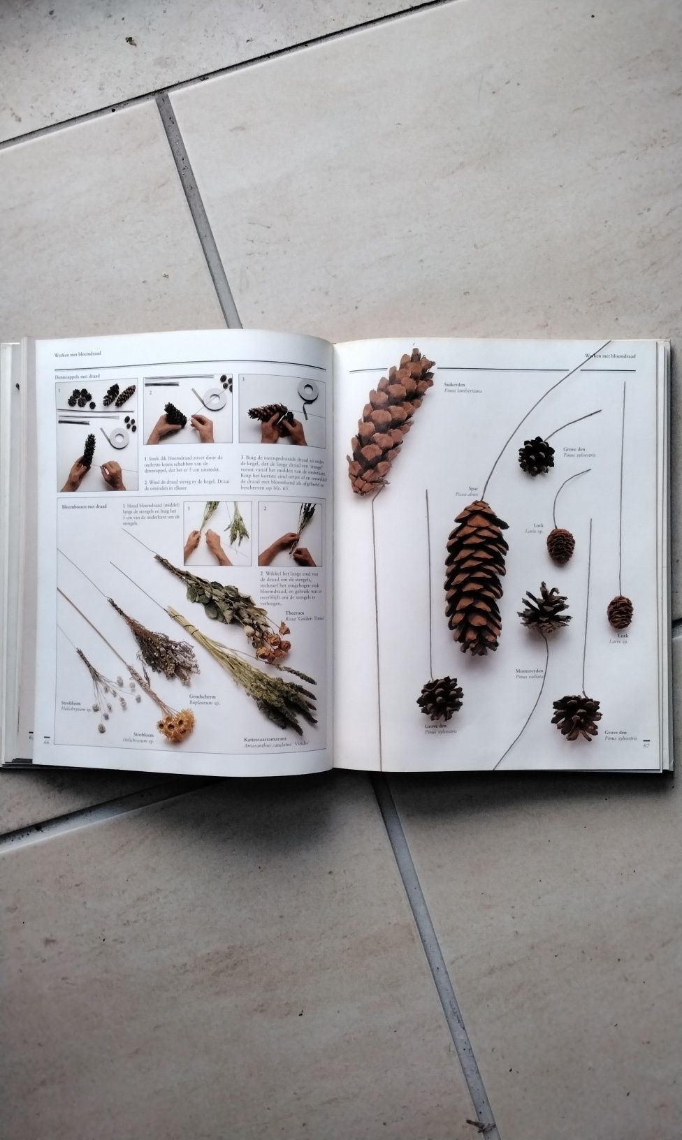 Livro de trabalhos em flores secas