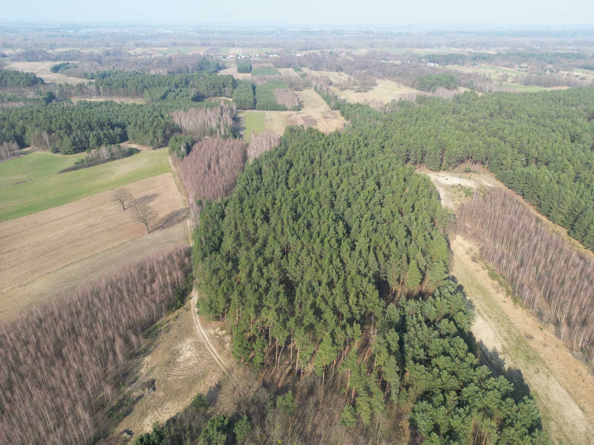 Działka Las Nowa Wieś Śladów Brochów Sochaczew Rzeka Bzura 1.2 ha