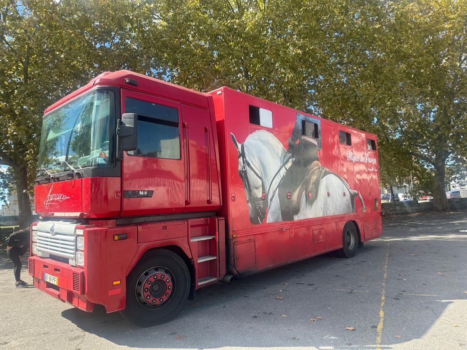 Camiao de transporte de  Cavalos Renault Magnum 360