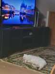Ps5 disc drive + comando