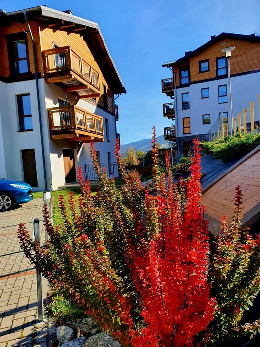 Nocleg kwatera mieszkanie Apartament nr 16 Szklarska Poręba