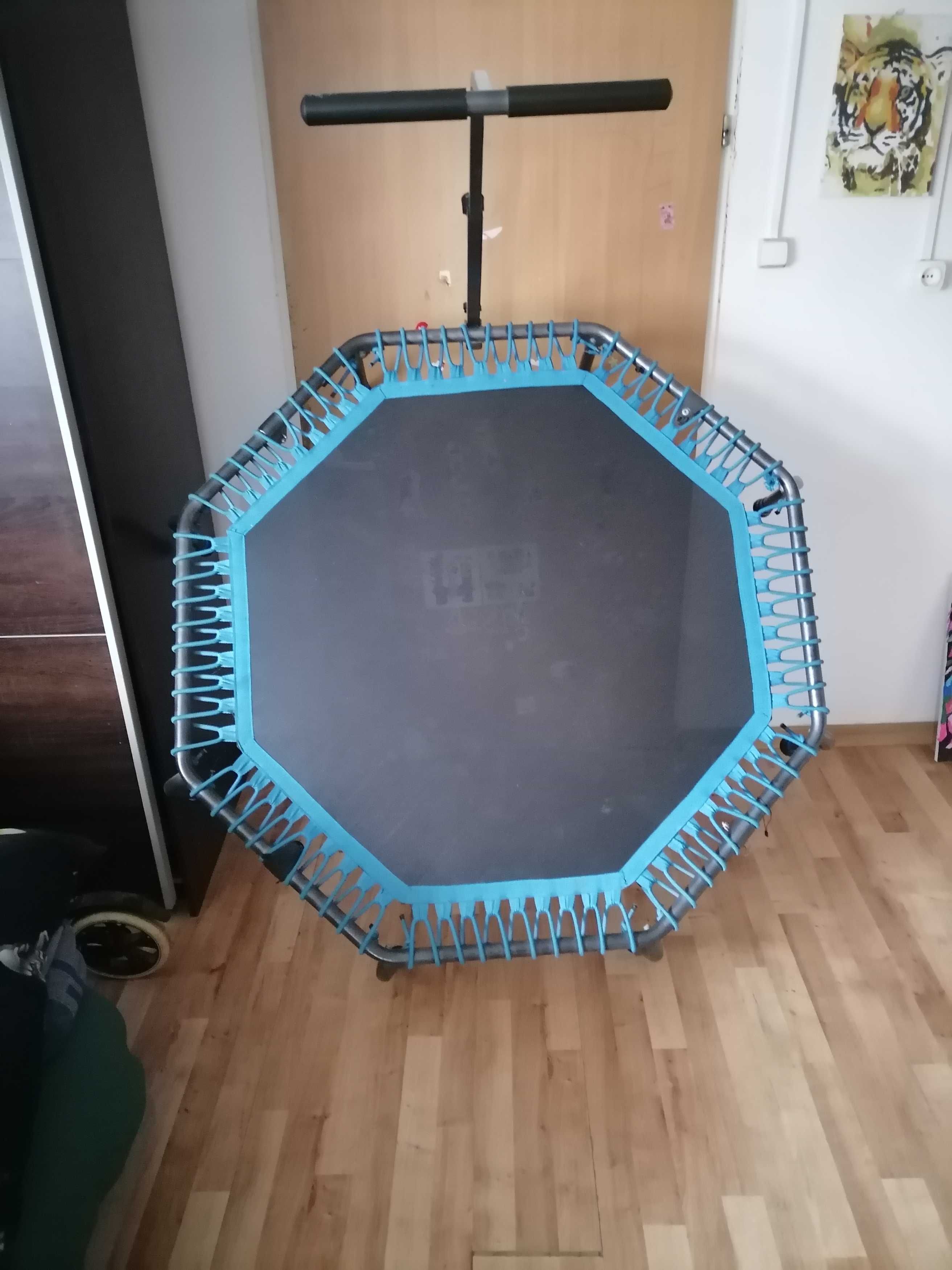 Trampolina domowa
