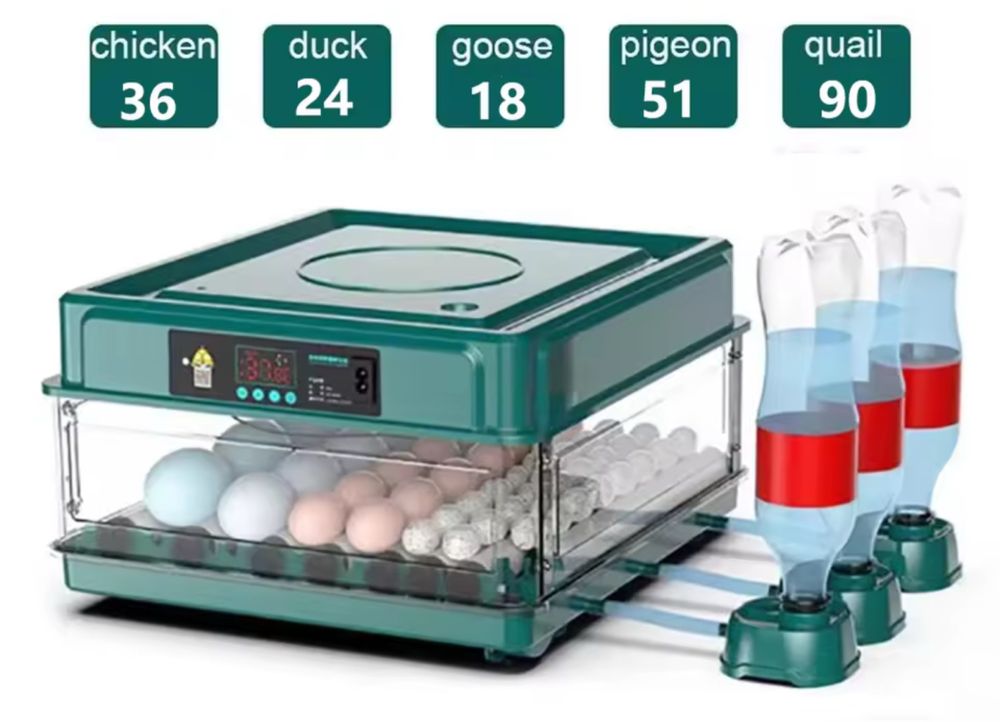 Chocadeira automática 36 ovos de galinha / 90 coderniz