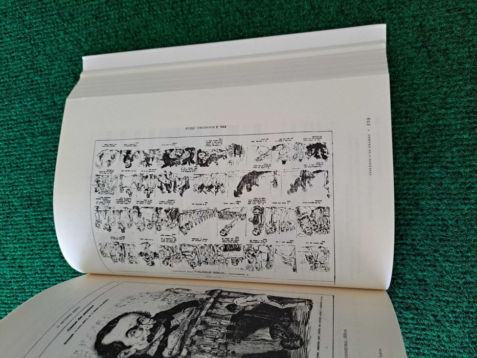 Nada na linguagem lhe é estranho - A. Costa / Inês Duarte (Coord.)