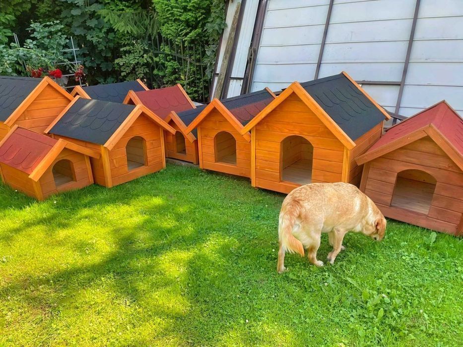 Kojec Stalowy Wytrzymały  dla psa 3x2 Box Klatka Solidny 2x2 4x2 2x3