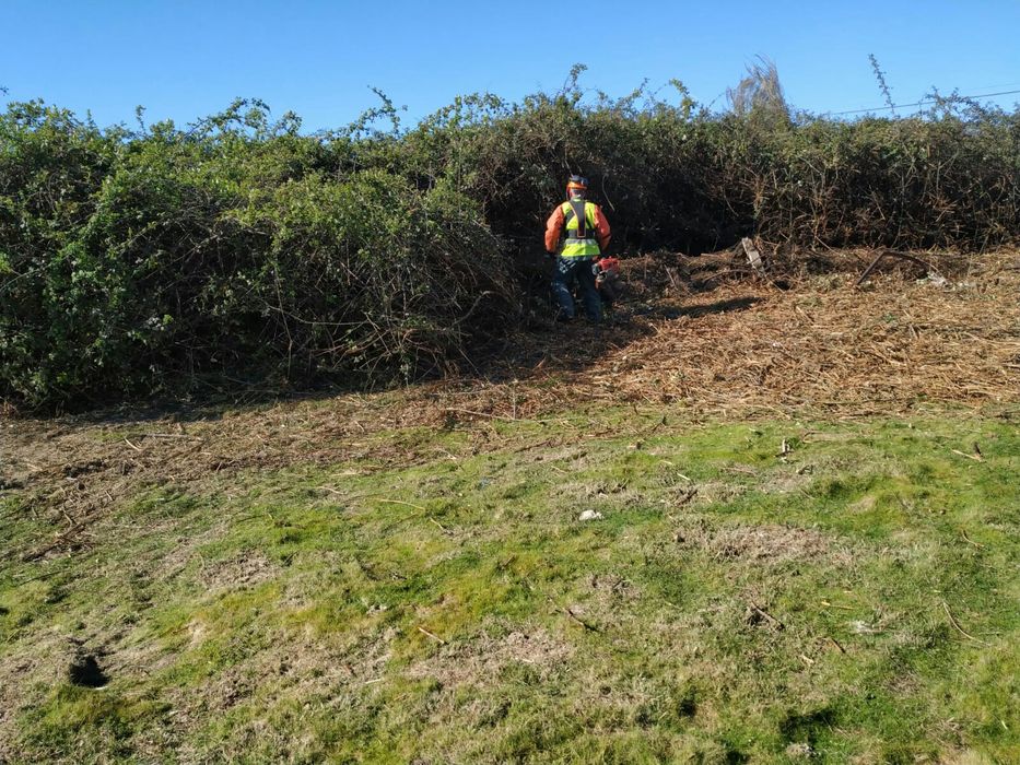 Limpezas agrícolas, lavouras e prestação de serviços