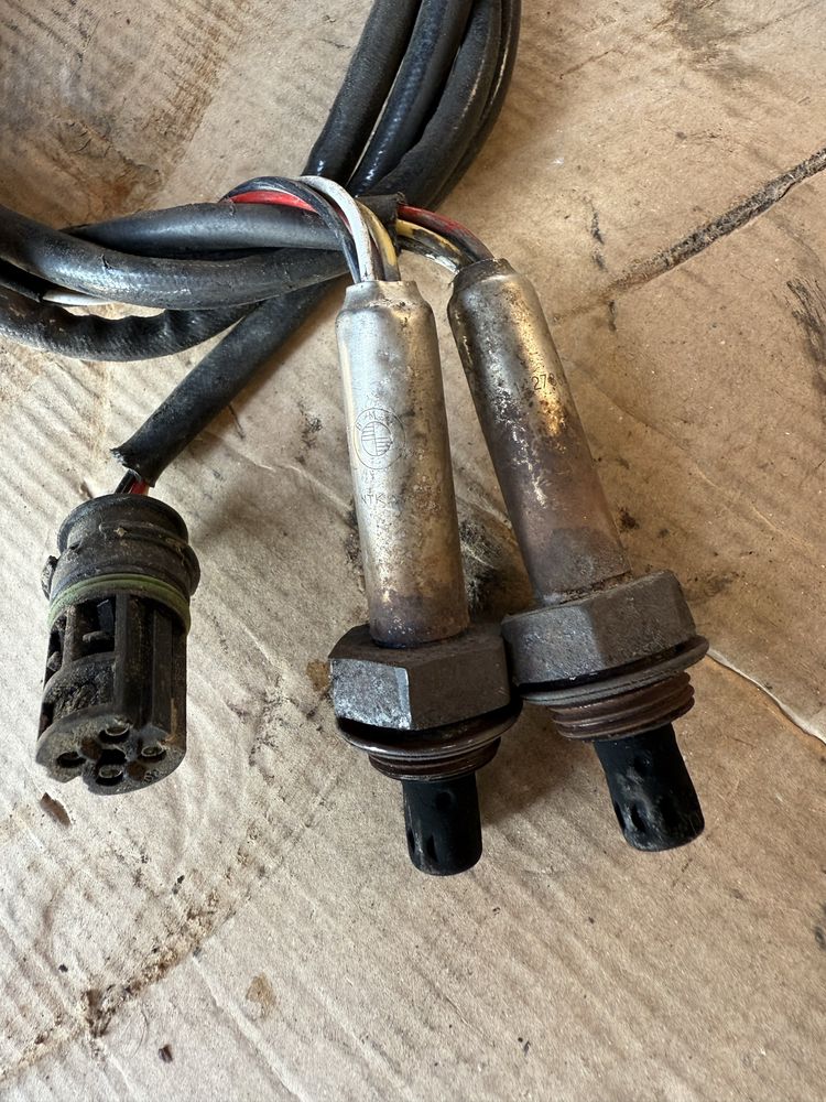 Sondy lambda e36 m52 siemens